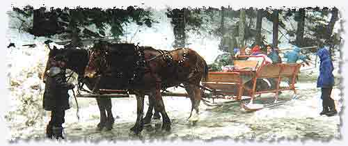 Sleigh Rides jpg Image